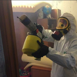 Уничтожение клопов в квартире. Текстильщики